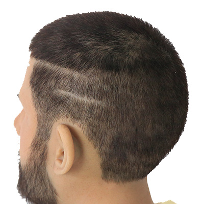Hair
