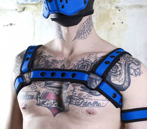 Bulldog harness