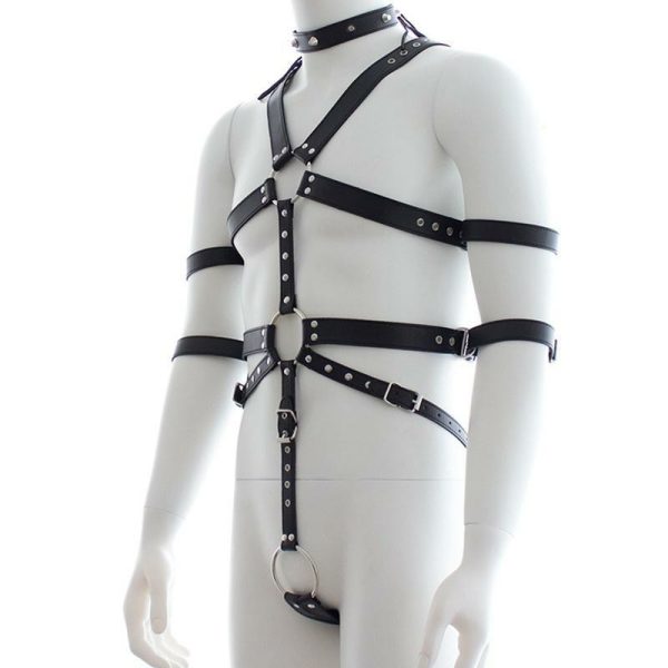 leather harness