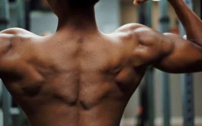 The Truth About Fake Arm Muscles: Which Ones Work Best?