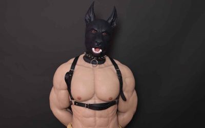 New to Pet Play? Here’s What You Need to Know About This Unique Game