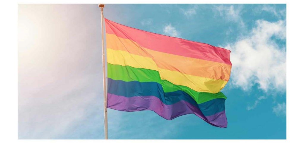 Rainbow Flag — GLBT Historical Society