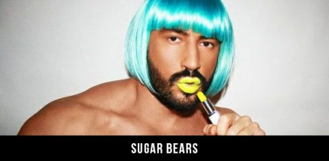 What Is a Gay Bear? The Types and Looks of Popular Gay Bears