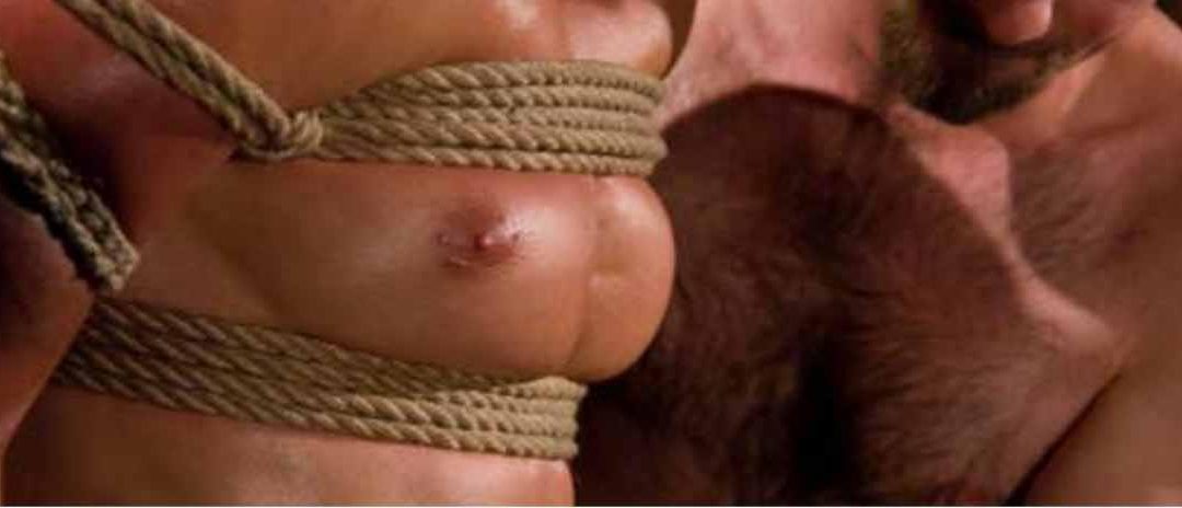 Dom 101: A Beginner's Guide to Becoming a Dominant