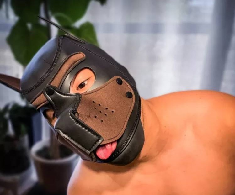 pup hood