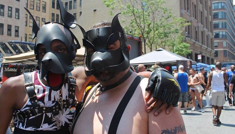 pup hood