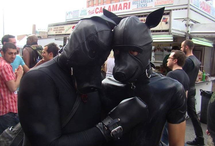 pup hood