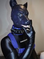 Silicone Doberman Dog/Pup Mask