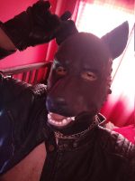 Silicone Doberman Dog/Pup Mask