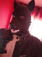 Silicone Doberman Dog/Pup Mask