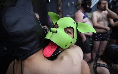 What Is Pup hood, and What Are My Options?