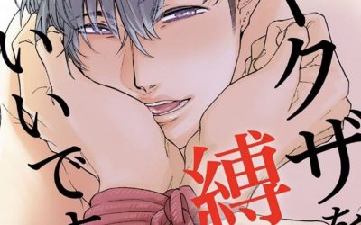 Gay Hentai Manga 101: Your Guide to the Best Titles Available