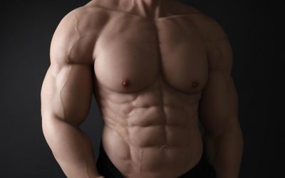 The top 6 most favored body types of muscular men