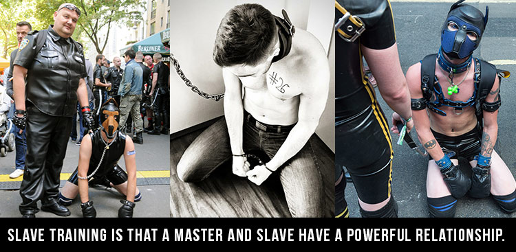 Slave Training