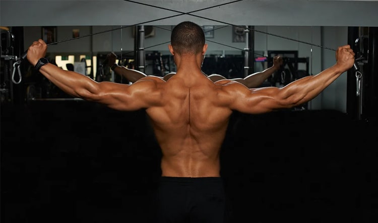 How to Strengthen Back Muscles? Best Ways to Tone Up Your Back Fast