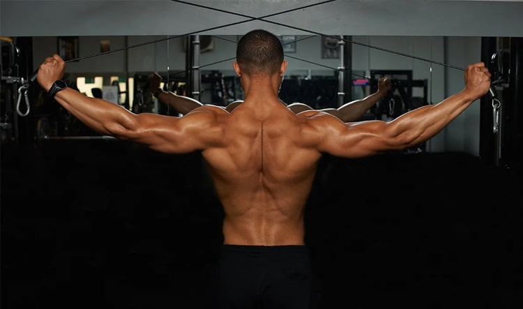 How to Strengthen Back Muscles Best Ways to Tone Up Your Back Fast