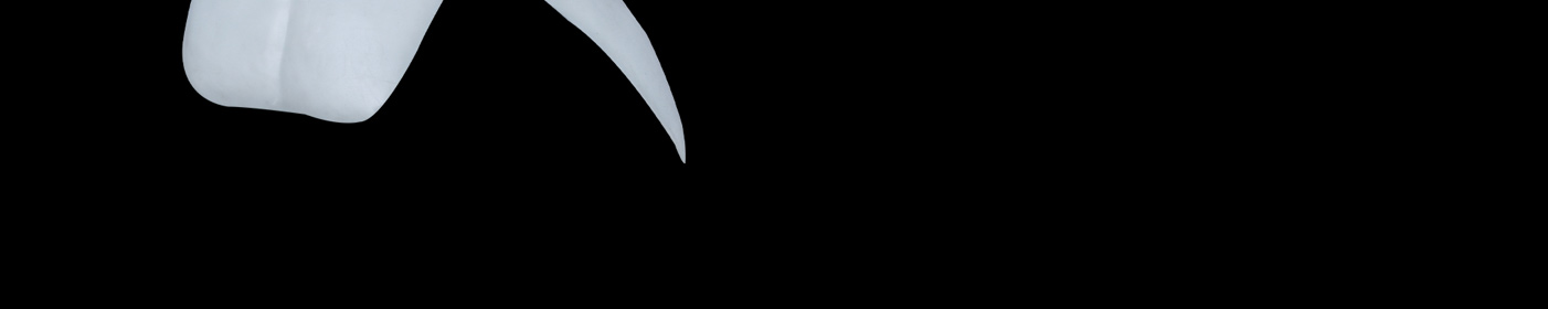 silicone-snow-dragon-mask_24