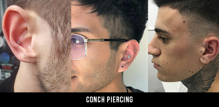 Conch
