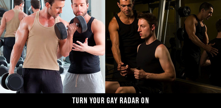 gay radar