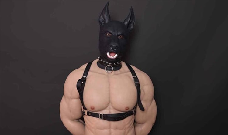 November-Pet-Play