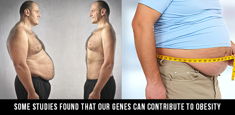 genetic belly fat 