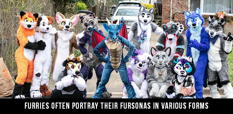 What Is a Furry?