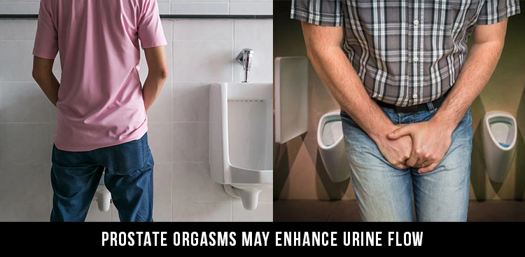proatate orgasm urine flow