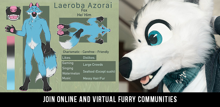 gay furry lifestyle