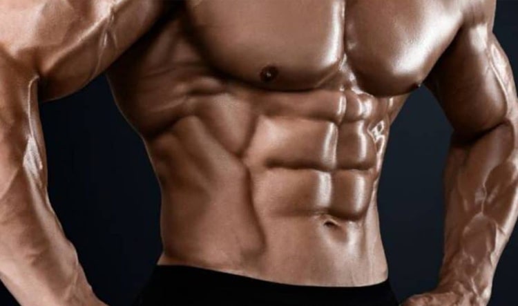 Abdominal-Muscles