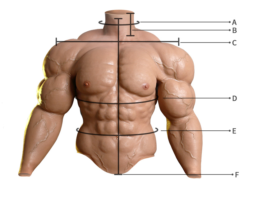 Mr. Olympia Realistic Upper Body Muscle Suit