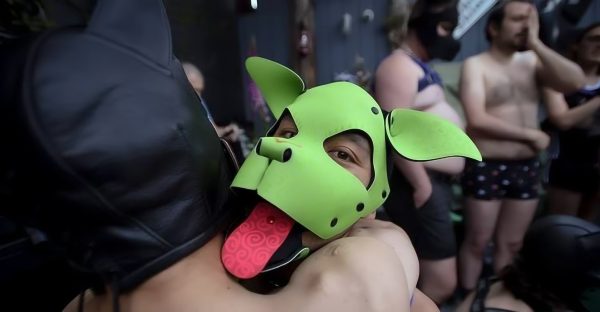 Pup Play