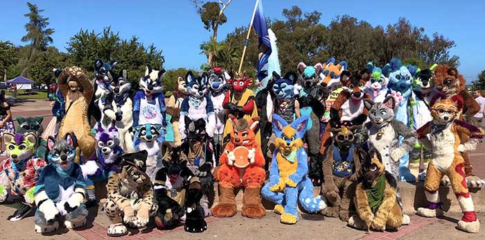 Fursuit Etiquette: Do's and Don'ts in the Community