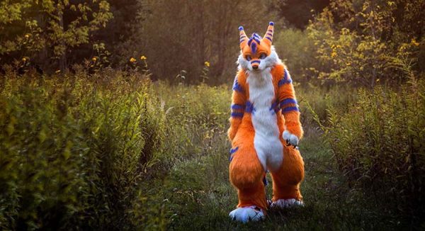 furry kink