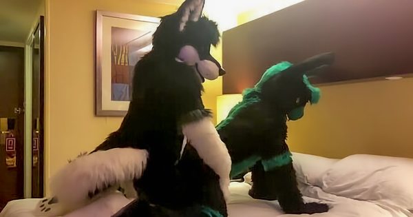 furry sex