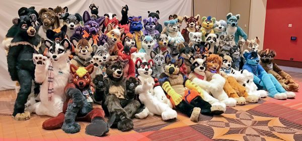 fursuit community