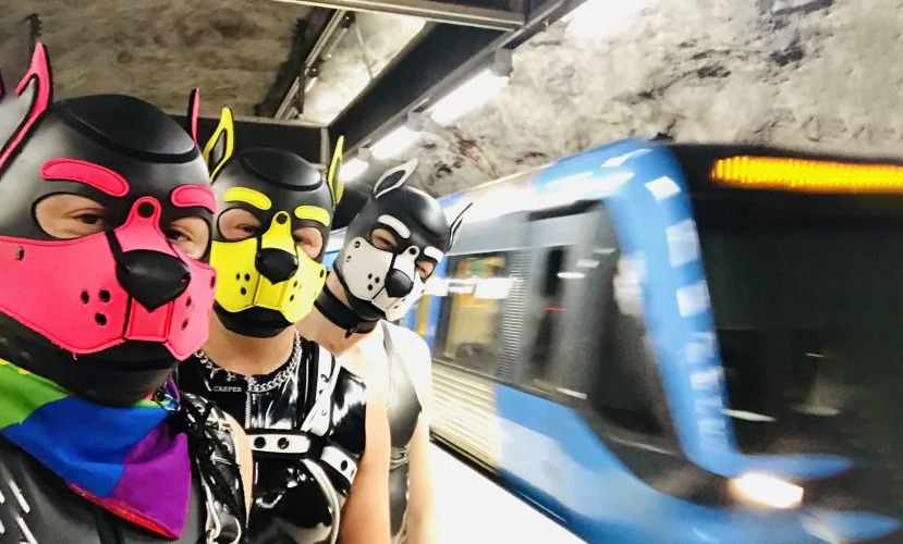 Pet hoods have found their place in everyday fashion too! 