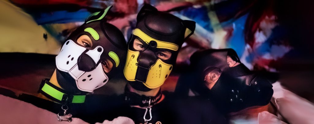 the history of pet hoods