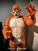 Silicone Tiger Muscle Petsuit Set