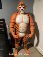 Silicone Tiger Muscle Petsuit Set