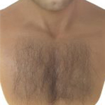 Chest Hair