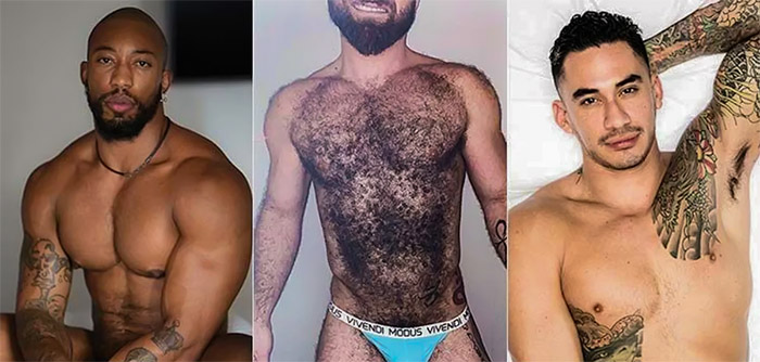 Prepare to embark on a journey that celebrates the unique allure of hairy, lean men in the vibrant tapestry of the gay community.