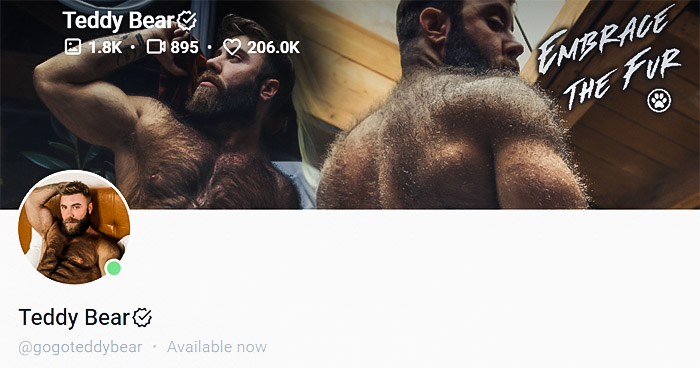 gay onlyfans Teddy Bear