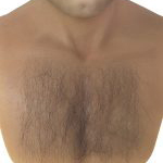 Chest Hair