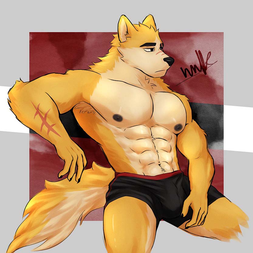 furry wolves offer an array of diverse personalities