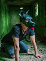 pet play03