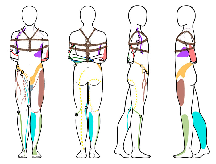Shibari Terminology