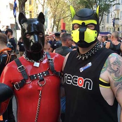 Finding Pups and Handlers:  A Beginner’s Guide