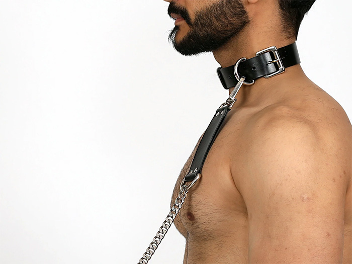 Training Collars