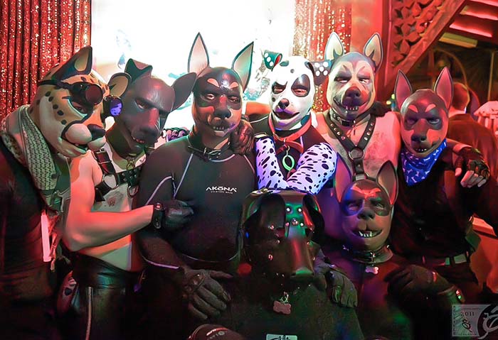 BDSM Pup Play