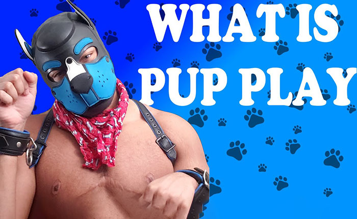 What is Gay Puppy Kink?